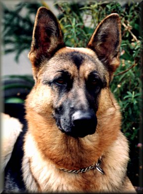 Krista at 14 months